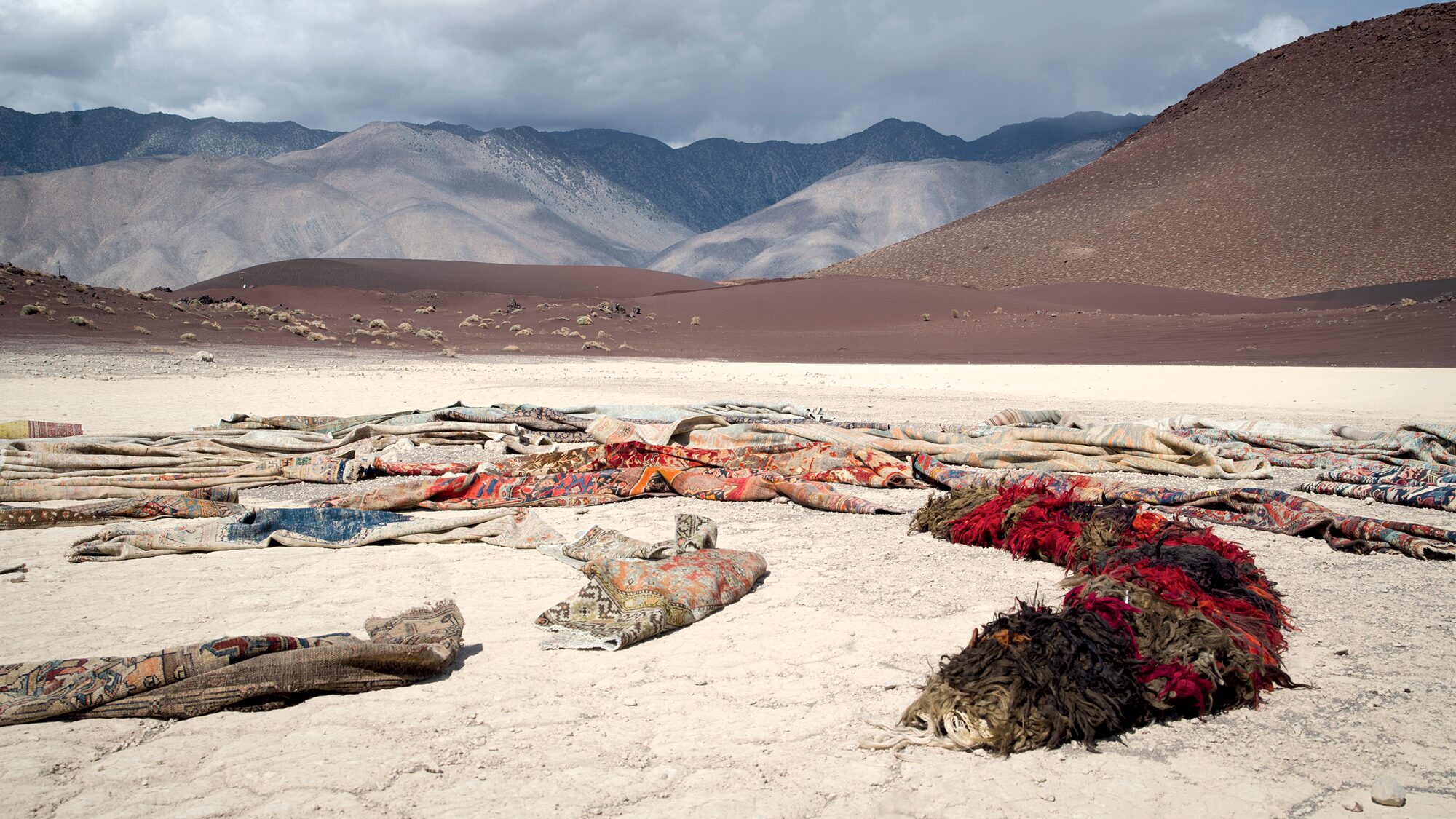 Persian Rugs vs. Oriental Rugs: What’s the Difference?
