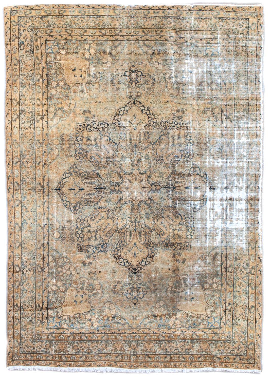 Ravar kerman Rug