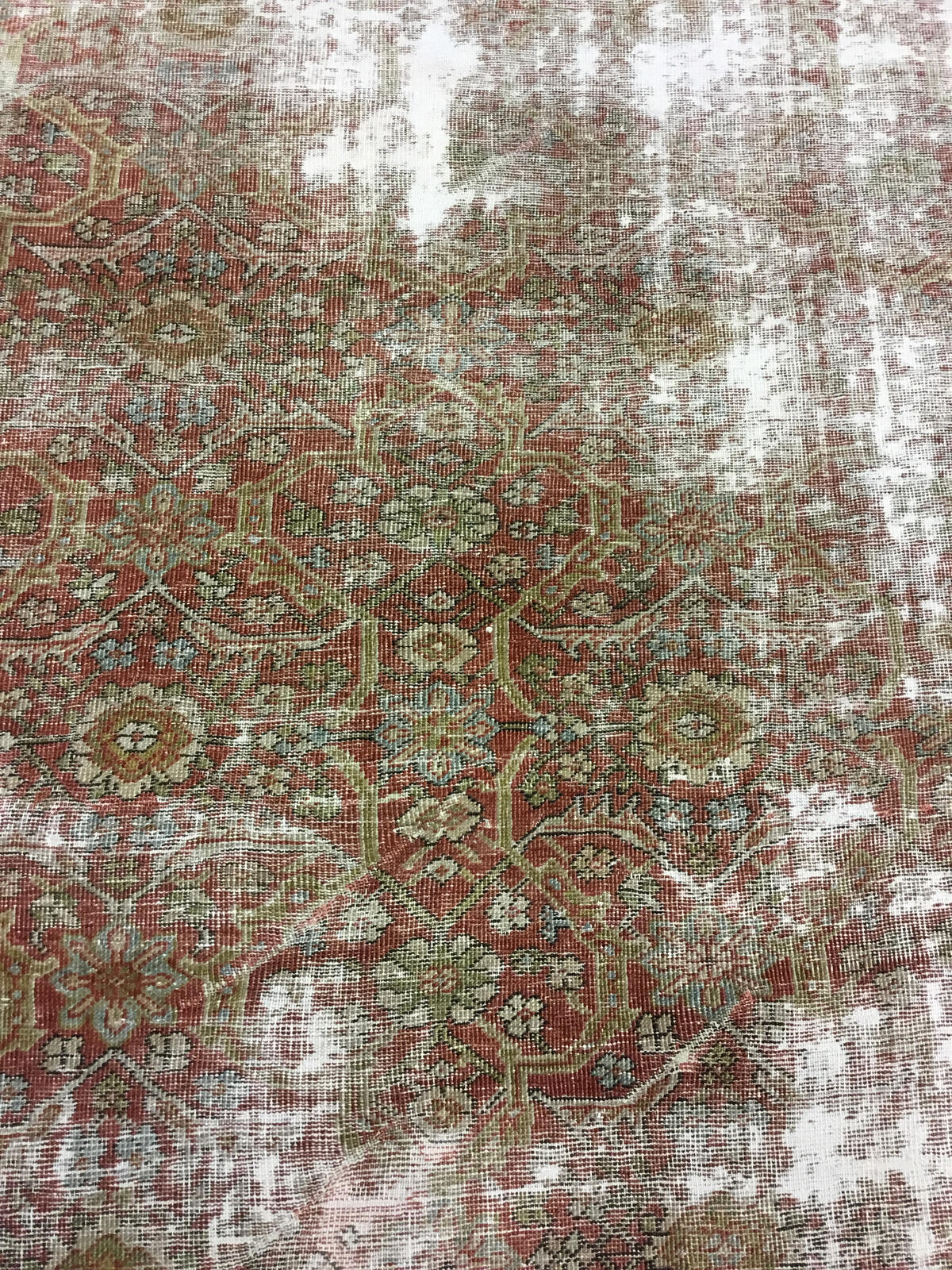 Mahal / 21679 rug from the mahal series by WOVEN