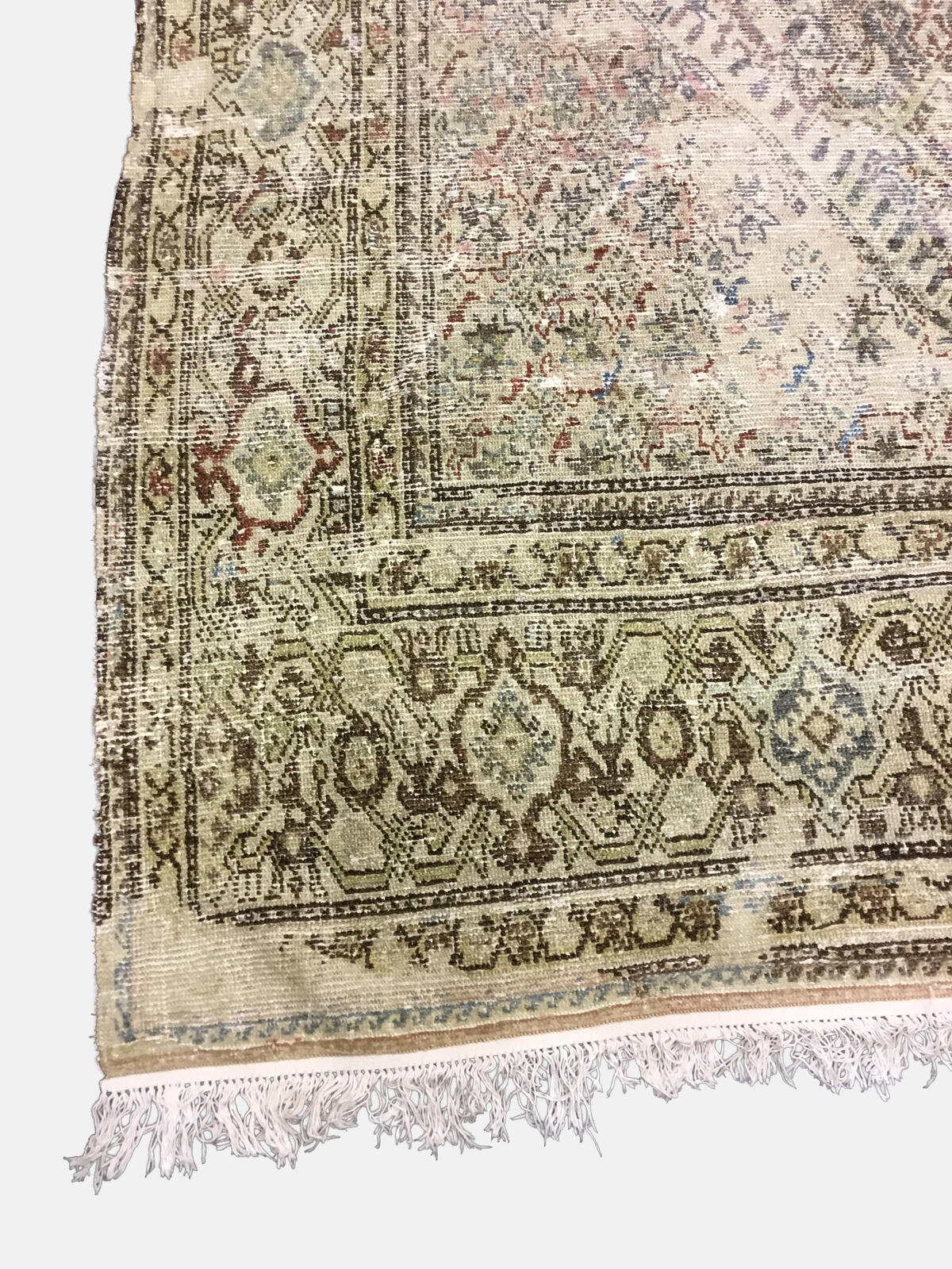Mahal / 23140 rug from the mahal series by WOVEN