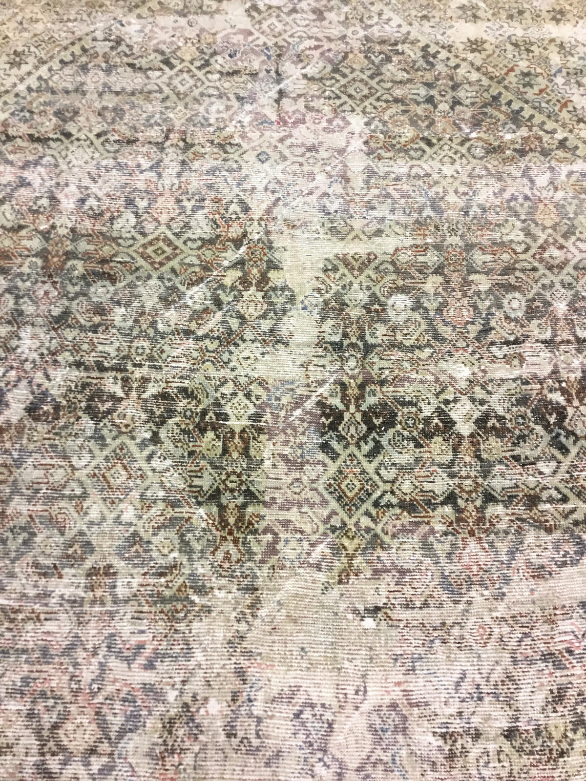 Mahal / 23140 rug from the mahal series by WOVEN