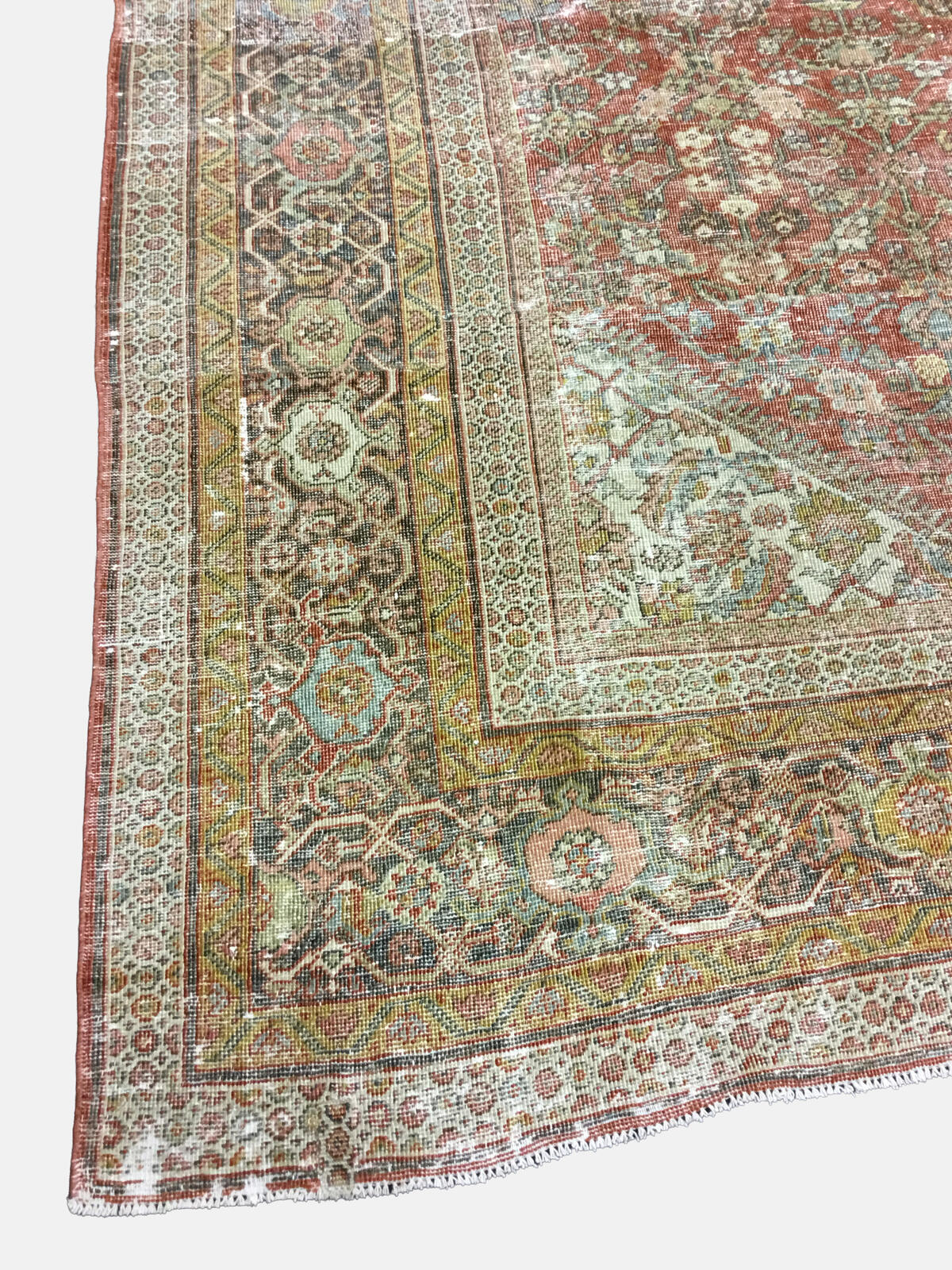 Mahal / 25567 rug from the mahal series by WOVEN