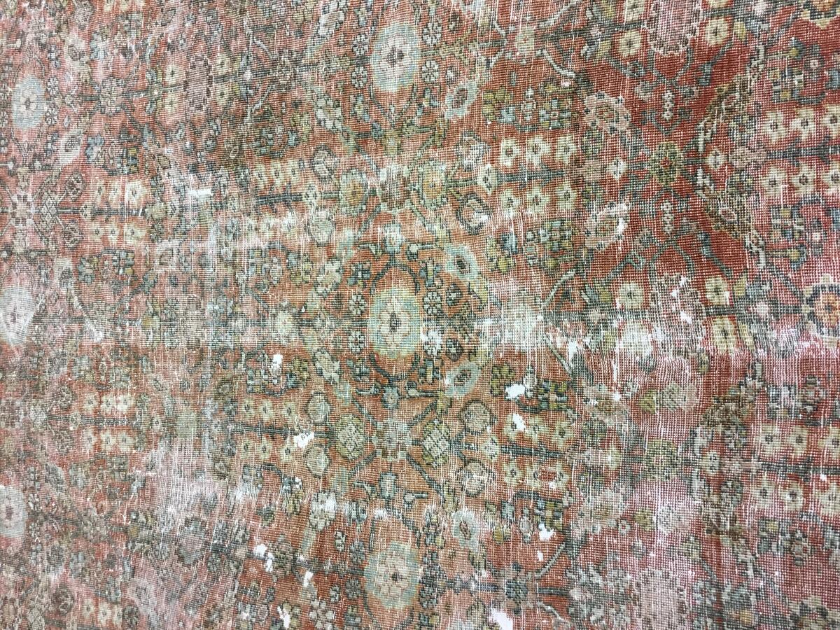 Mahal / 25567 rug from the mahal series by WOVEN