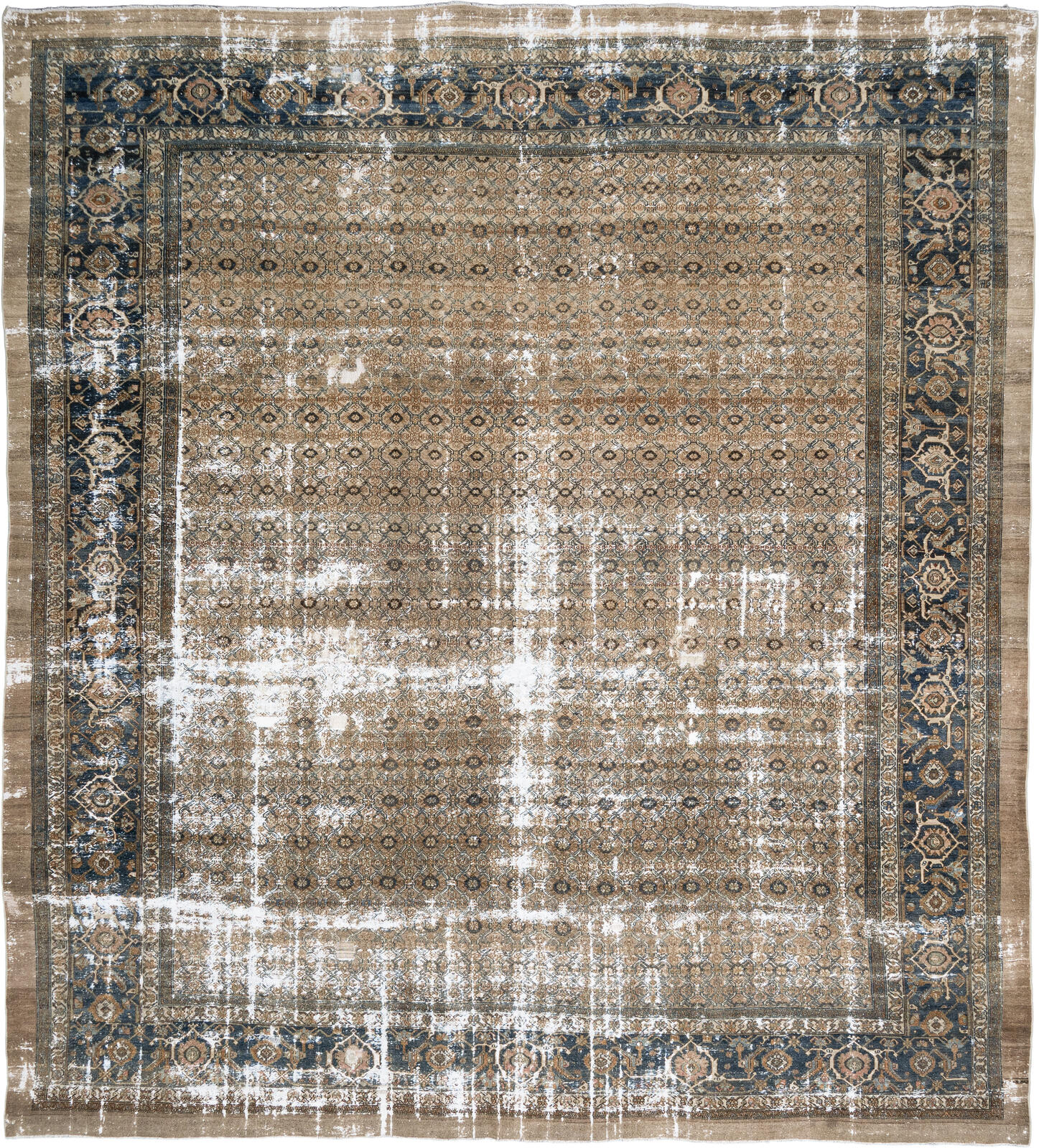 Bibikabad / 28838 rug from the bibikabad series by WOVEN