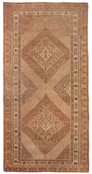 Khotan / 10850 | WOVEN