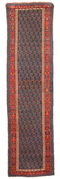Kurd / 11517 | WOVEN