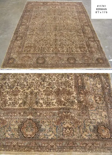 Kerman / 11741 | WOVEN