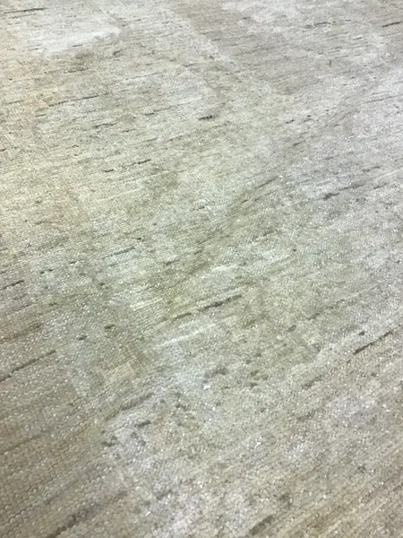 antique recreation / 11765 | WOVEN