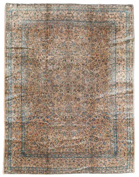 Ravar Kerman / 11890 | WOVEN