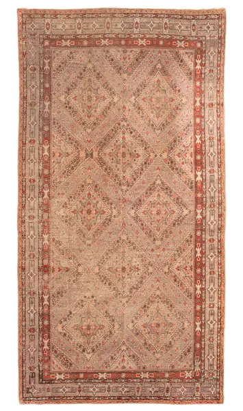 Khotan / 12926 | WOVEN