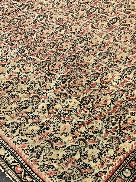 Seneh / 15564 | WOVEN
