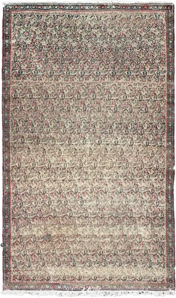 Seneh / 15564 | WOVEN