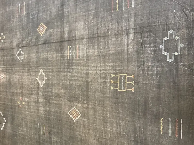 Sabra Silk Kilim / 16323 | WOVEN