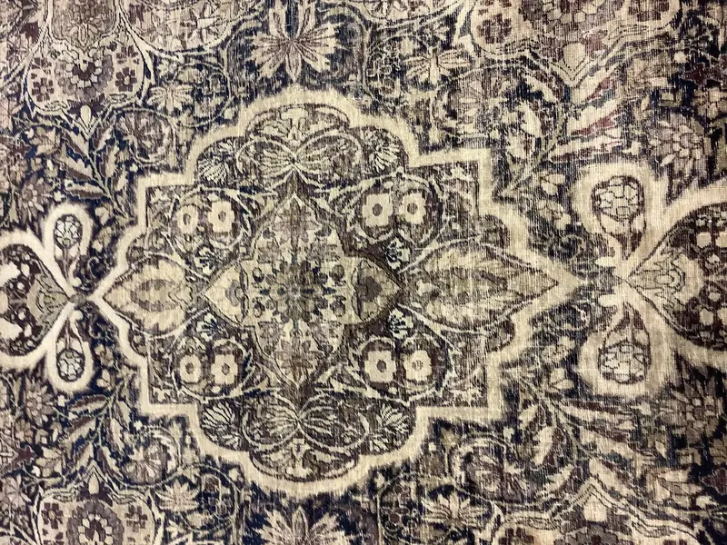 Ravar Kerman / 18407 | WOVEN