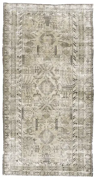 Khotan / 18538 | WOVEN