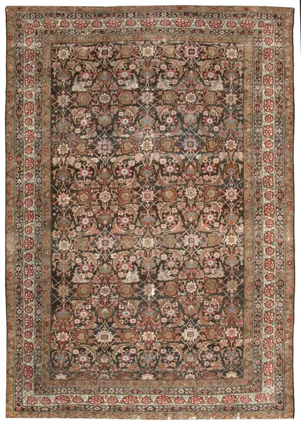 Bakhtiari / 19133 | WOVEN