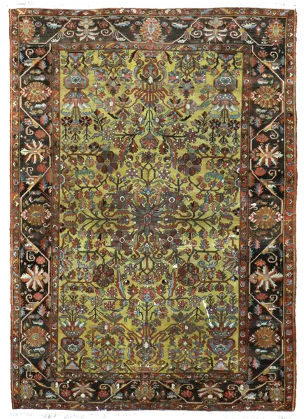Bakhtiari / 19213 | WOVEN