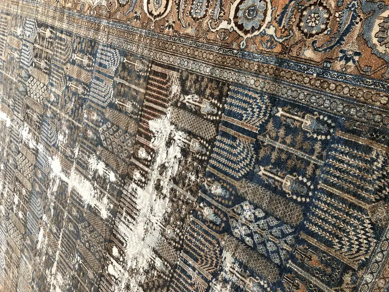 Bibikabad / 20290 | WOVEN