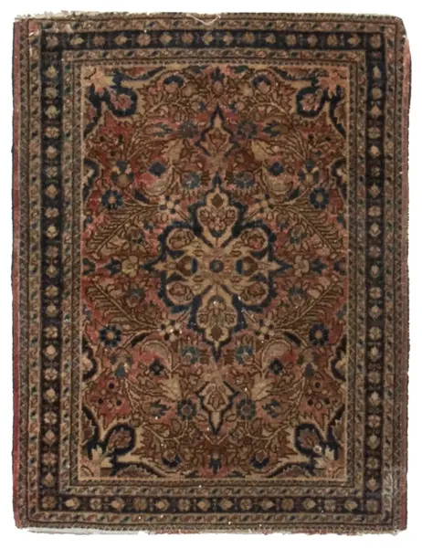 Sarouk / 20790 | WOVEN