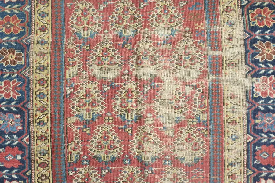 caucasian / 21121 | WOVEN