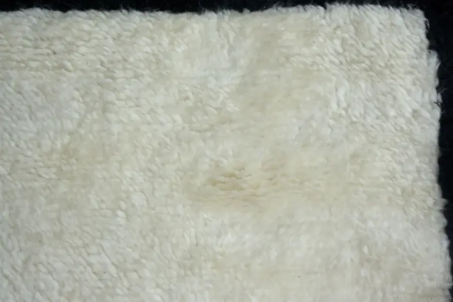 New Moroccan / 21242 | WOVEN