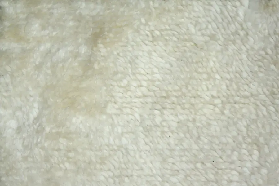 New Moroccan / 21243 | WOVEN