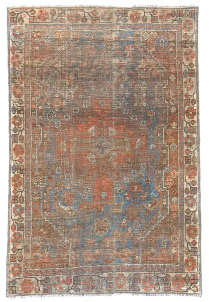 Shiraz / 22302 | WOVEN