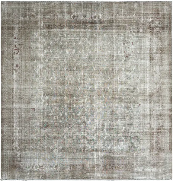 dorokhsh / 31055 | WOVEN