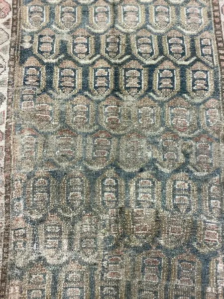 Kurd / 31131 | WOVEN