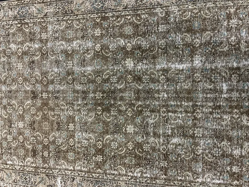 tabriz / 31951 | WOVEN