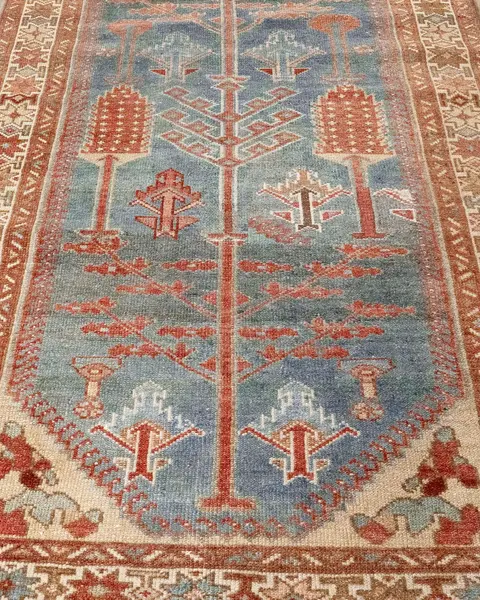 BAKHTIARI / 33106 | WOVEN