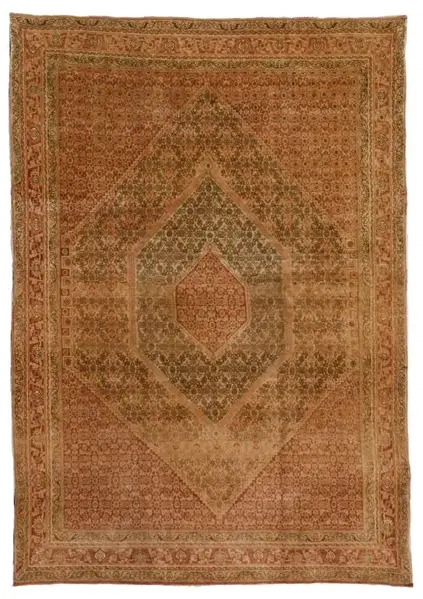 Bijar / 10948 | WOVEN