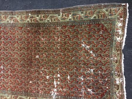 Mallayer / 12229 | WOVEN