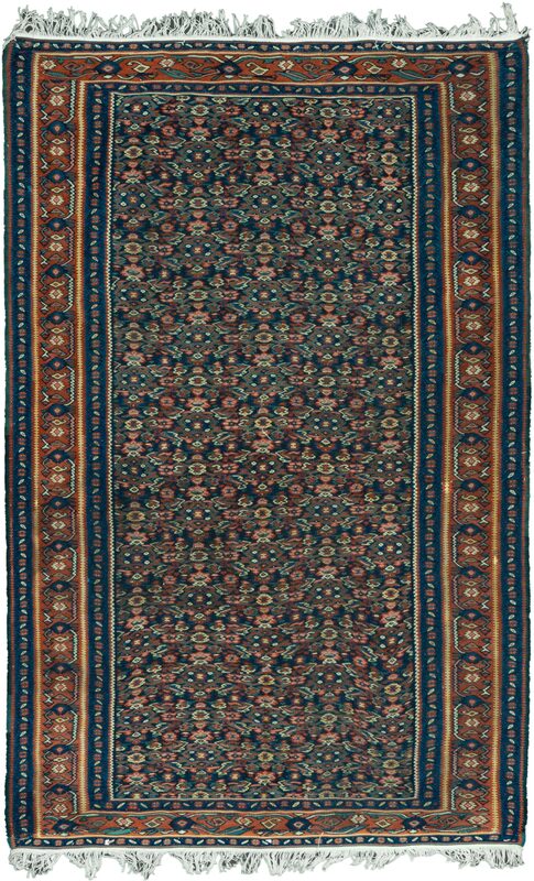 Kilim Seneh / 11410 | WOVEN