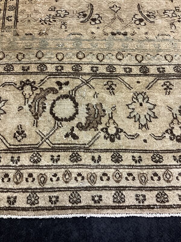 Tabriz / 12181 | WOVEN