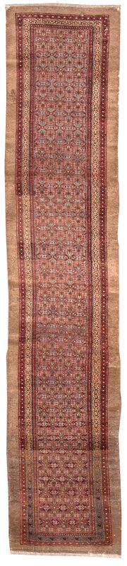 Sarab / 13110 | WOVEN