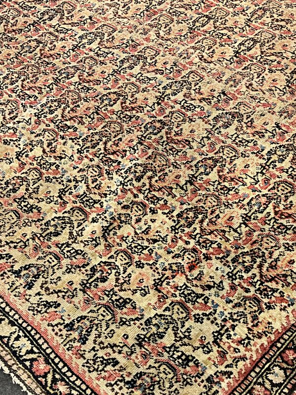 Seneh / 15564 | WOVEN
