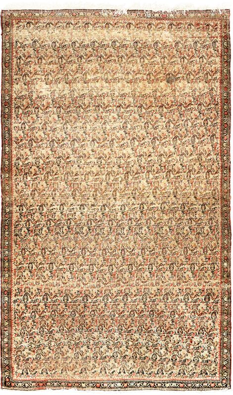 Seneh / 15564 | WOVEN