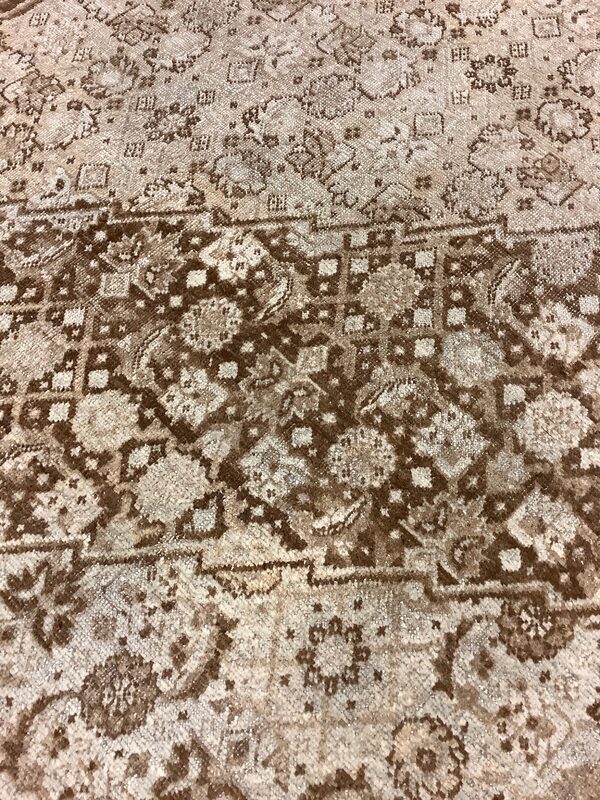 Tabriz / 17694 | WOVEN