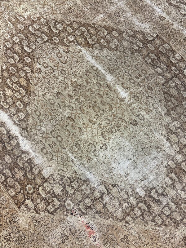 Tabriz / 17812 | WOVEN
