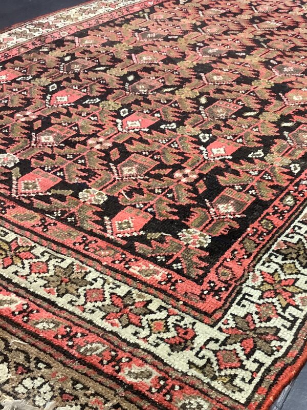 Hamadan / 19724 | WOVEN