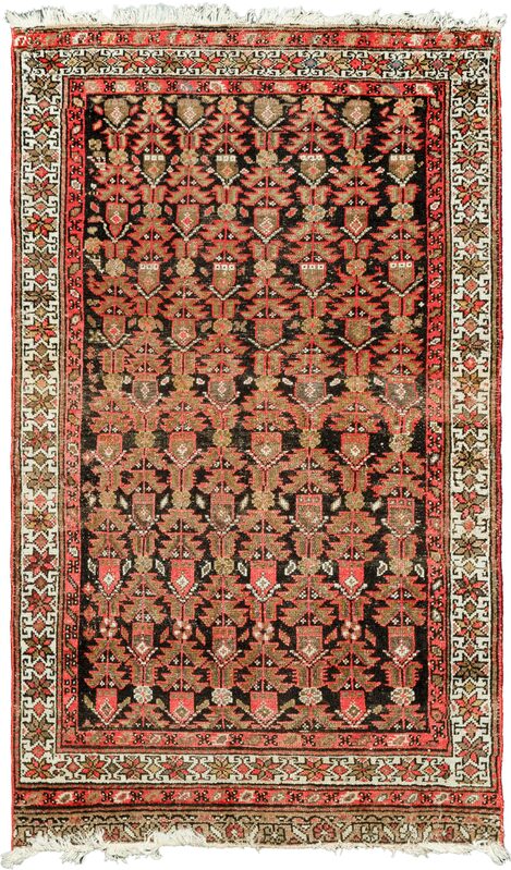 Hamadan / 19724 | WOVEN