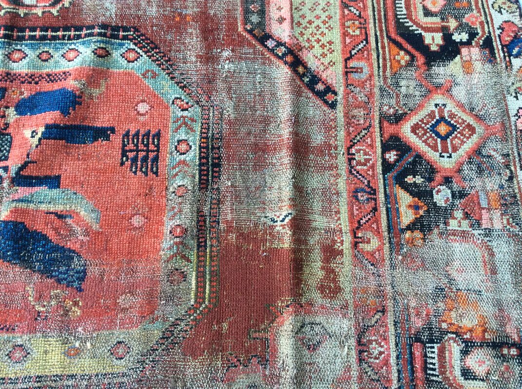 Caucasian / 20141 | WOVEN