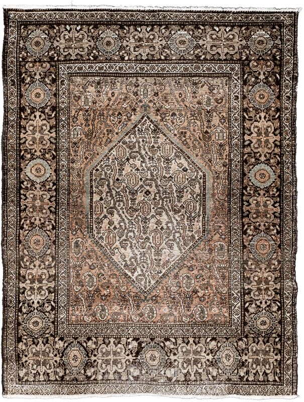 Tabriz / 20427 | WOVEN