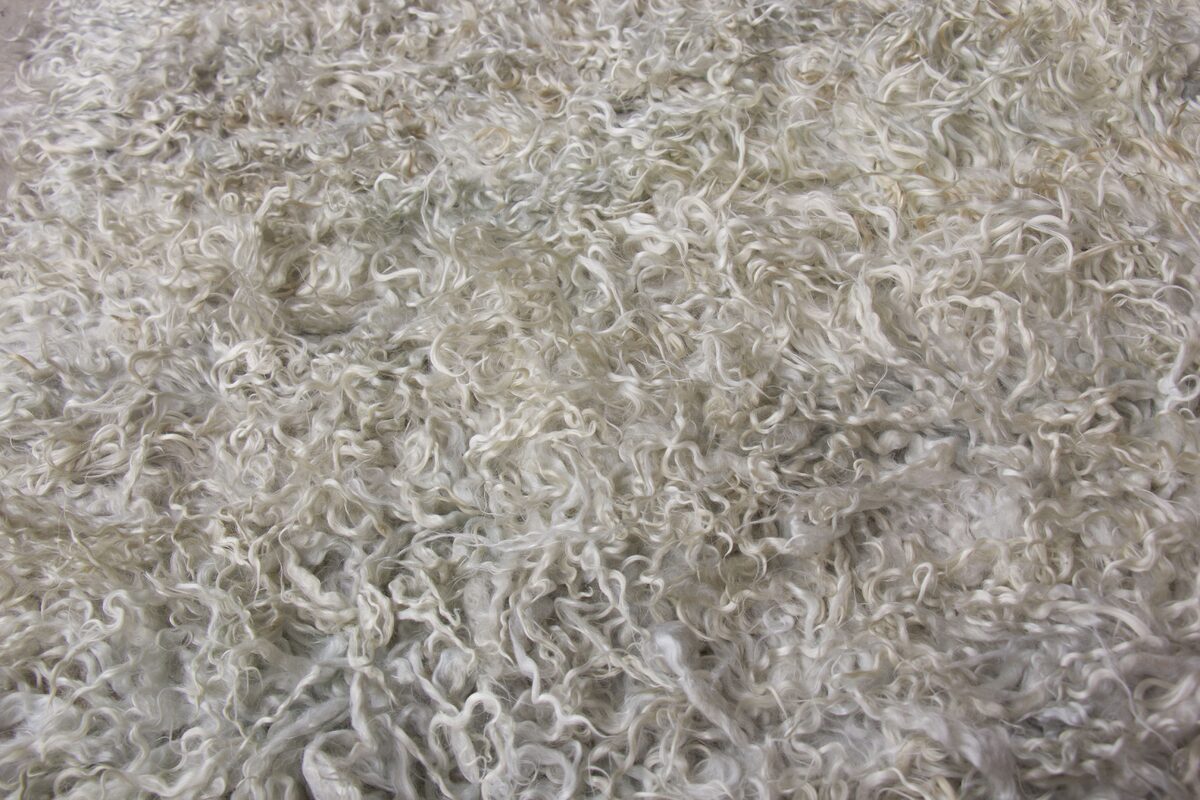 Tulu Shag- Silver / 21191 | WOVEN