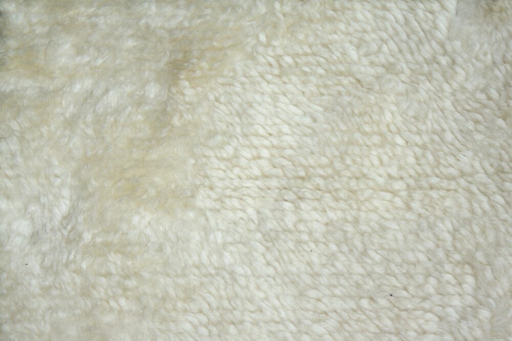 New Moroccan / 21243 | WOVEN