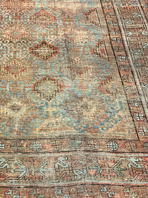 Baluch / 21662 | WOVEN
