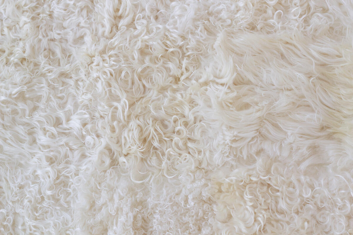 angora - cream / 22074 | WOVEN