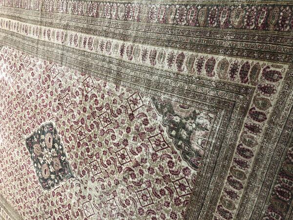 dorokhsh / 24512 | WOVEN