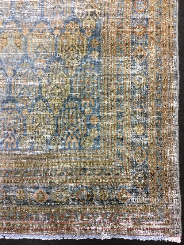 Afshar / 25477 | WOVEN
